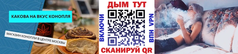 kraken сайт  Шагонар  Canna-Cookies марихуана  цена наркотик 