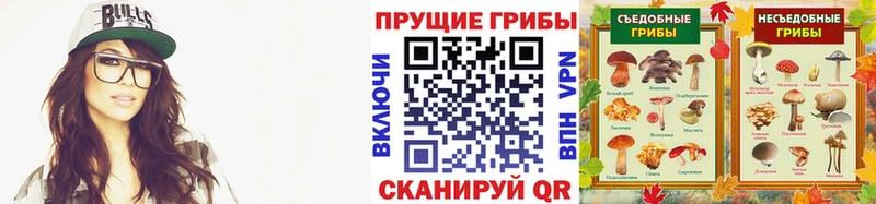 Псилоцибиновые грибы Cubensis  Шагонар 